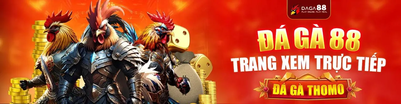 Hình ảnh chính sách cookie wibo88 trang chủ chính thức, bảo mật dữ liệu người dùng