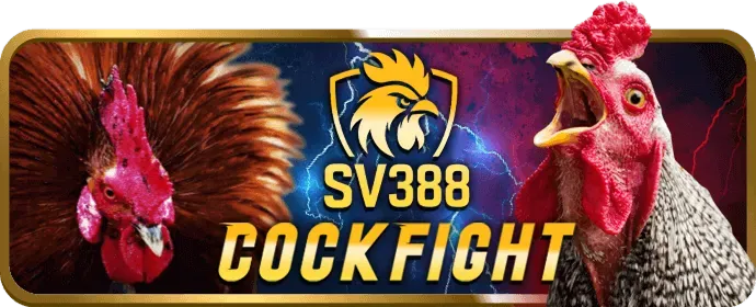 Thưởng Chào Mừng Wibo88 100%